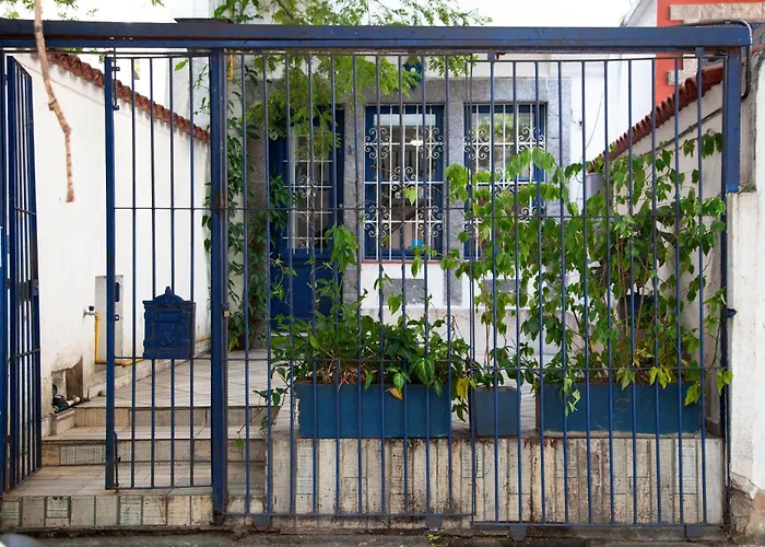 Farfalla São Manuel Rio de Janeiro